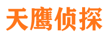 嘉陵寻人公司